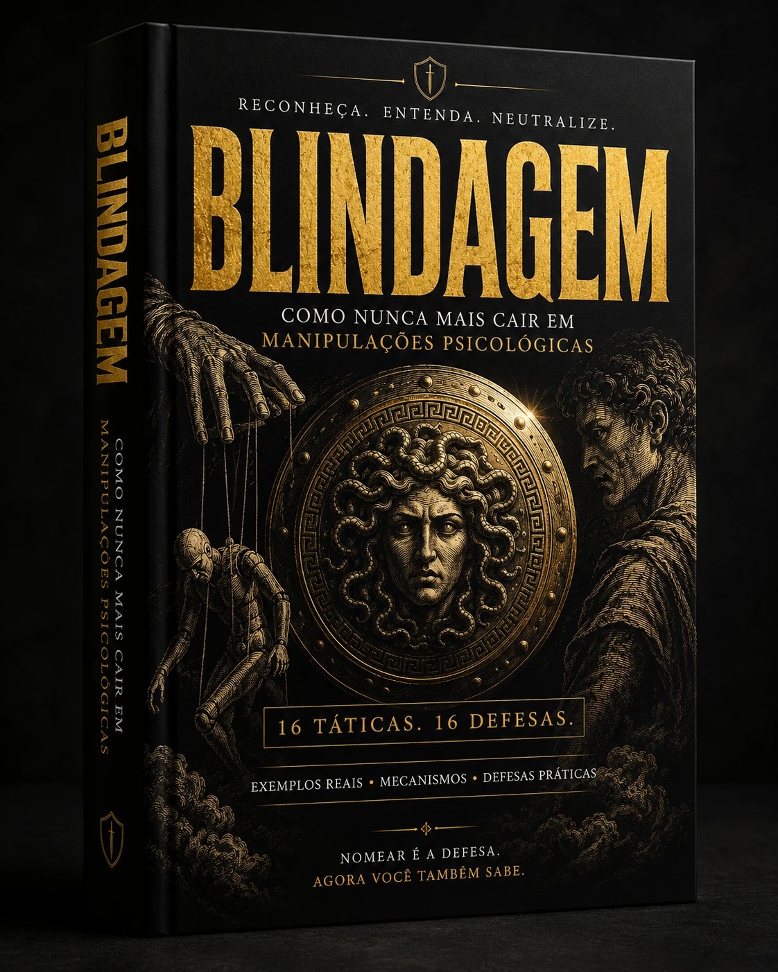 Capa do ebook Blindagem